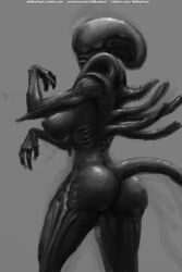 1girls alien alien_girl exoskeleton female female_xenomorph nihilophant tail xenomorph