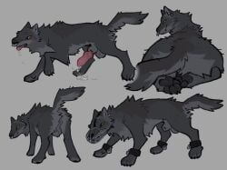 animal_genitalia animal_penis ankle_cuffs anthro backsack balls black_body black_fur black_sclera bodily_fluids butt canid canine canine_genitalia canine_penis canis claws cuff_(restraint) drooling ear_piercing ear_ring erection facial_piercing feral feral_only fluffy fluffy_butt fur furry genital_fluids genitals gynomorph gynomorph_feral hi_res intersex intersex_feral lundi lying mammal multiple_images muzzle_(object) muzzled mythological_canine mythological_creature mythology nose_piercing nose_ring on_front pawpads penis penis_tip piercing pine_(lundi) precum precum_string quadruped raised_tail rear_view restraints ring_piercing saliva sheath solo standing tail trans_(lore) trans_woman_(lore) werecanid werecanine werecreature werewolf wolf yellow_eyes