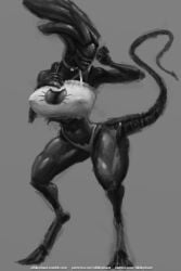 1girls alien alien_girl exoskeleton female female_xenomorph nihilophant tail underwear xenomorph xenomorph_queen