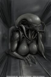 1girls alien alien_girl exoskeleton female female_xenomorph nihilophant stuck stuck_in_vent stuck_in_wall tail xenomorph