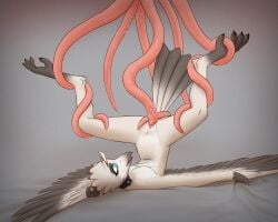 absurd_res anthro avian aydaharart bird bound female hi_res legs_tied lyra_(w4g4) nude nude_anthro nude_female penetration potoo sex solo tentacle tentacle_penetration tentacle_sex