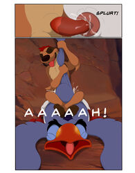 anal anatomically_correct animal_genitalia anus ass avian balls beak bird black_eyes blue_fur comic cum detailed_background dialogue disney feral forced fur gay herpestid hornbill male male_only mammal mcfan meerkat mongoose orgasm penis rape sex sheath text the_lion_king timon yaoi zazu