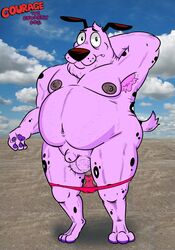 anthro beagle big_balls canine cartoon_network chubby courage courage_the_cowardly_dog furry hairy_balls male male_only mammal pink_fur speedo spotted_fur tagme