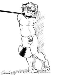 2012 anthro arms_behind_back bondage canine chastity chastity_cage collar fox glasses leash line_art male malesub mammal monochrome neoneon nude simple_background slightly_chubby solo tail_between_legs testicles white_background