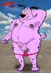 balls beagle big_balls canine chubby courage courage_the_cowardly_dog gay mammal pose slightly_chubby speedo tagme