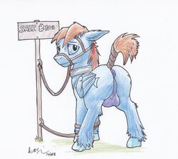 2018 anus ass balls blue_eyes blue_fur bondage bound brown_hair collar equine fan_character feathered_wings feathers feral for_sale fur hair halter hi_res horse looking_at_viewer male male_only mammal my_little_pony pegasus perineum pony post presenting presenting_hindquarters sale seaward_skies sign slave solo standing tail_wraps theandymac traditional_media_(artwork) wings wraps