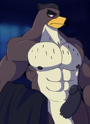 2018 abs anthro avian balls beak biceps big_penis bird black_nipples black_penis blush digital_media_(artwork) disney disney_channel disney_xd ducktales_(2017) erection falcon_graves hair looking_at_viewer male male_nipples male_only muscular muscular_male nude pecs penis testicles vier_punksterne