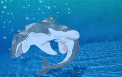 bubble clothing feral fish foxx gills male marine penis shark solo species_transformation traditional_media_(artwork) transformation underwater water