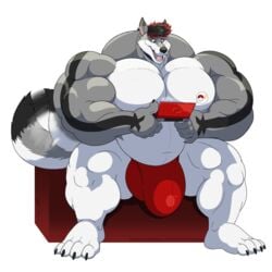 anthro belly big_belly big_bulge bulge canine clothing hyper hyper_muscles male male_only mammal musclegut muscular muscular_male nintendo nintendo_ds open_mouth siriusdog sitting solo underwear video_games