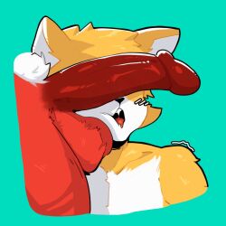 animal_ears balls big_penis furry furry_male furry_only licking_balls male male_focus male_only mr_mapache open_mouth penis red_fur shappy_(shappysway) shappysway yellow_fur
