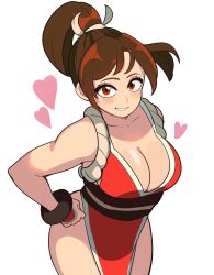 mai shiranui from fatal fury by digicheeze