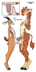 antelope anthro anthro_on_anthro ball_size_difference balls big_balls big_penis big_penis_in_chastity bird's-eye_view blush bodily_fluids bovid breasts chastity_cage chastity_cage_only chastity_device chastity_device_only closed_eyes comparing comparing_penis compliment cuteblack dialogue duo erection femboy foreskin gazelle genital_exploration genital_fluids genitals giraffe giraffid hand_on_breast hands_behind_back hi_res high-angle_view humanoid_genitalia humanoid_penis hung_bottom hung_femboy hung_trap looking_at_another looking_at_genitalia looking_at_penis looking_down male male/male mammal metal_chastity_cage nude partially_retracted_foreskin penis penis_size_comparison penis_size_difference precum presenting presenting_penis show_me_yours side_view small_balls small_penis submissive submissive_male tall thomson's_gazelle true_antelope wearing_chastity_cage wearing_chastity_device