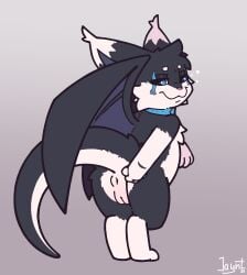 anus ass bat bell bell_collar black_body black_fur blue_eyes canid canine collar domestic_cat dust:_an_elysian_tail fan_character felid feline felis female female_genetalia female_penetrated fidget_(elysian_tail) fox fox_tail fur genitals grin hair hi_res humanoid humanoid_genitalia humanoid_pussy hybrid long_hair long_tail looking_at_viewer looking_back male male/female mammal membrane_(anatomy) membranous_wings nimbat nude penetration presenting presenting_anus presenting_hindquarters presenting_pussy pussy smile smiling_at_viewer smug smug_face smug_grin solo spread_butt spreading tail teeth white_body white_fur wings