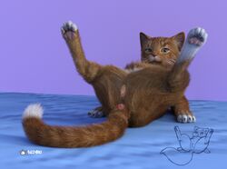 3d anus comparison domestic_cat felid feline felis female feral fuzzyfelt hi_res looking_at_viewer lying mammal nekostar on_back pussy realistic simple_background solo spread_legs spreading