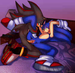 anthro cuntboy faptor furry furry_only intersex leg_up no_humans penis pussy rule_63 shadow_the_hedgehog sonadow sonic_(series) sonic_the_hedgehog vaginal_penetration