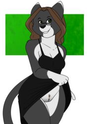 2018 anthro black_fur black_nose bottomless brown_hair clothed clothing domestic_cat eyewear feline feline female flashing fur glasses green_eyes hair josie looking_at_viewer mammal os pawpads pubes pussy smile solo upskirt