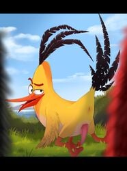 angry_birds anus ass avian bent_over bird chuck_(angry_birds) enookie erection looking_back male male_only penis presenting presenting_hindquarters raised_brow video_games