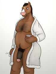 anthro bathrobe bojack_horseman bojack_horseman_(character) cigarette clothed clothing equine hi_res horse humanoid_penis male male_only mammal mostly_nude open_robe oystercatcher7 penis pubes robe slightly_chubby solo