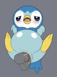 piplup from nintendo by slimefur