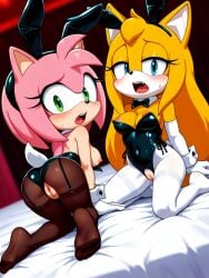 amy rose from sonic (series)
