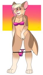 1girls 2018 anthro barefoot blonde_hair bottomless bra breasts brown_fur canine clitoral_hood clitoris clothed clothing dingo female flashing fur furry furry_only hair looking_at_viewer mammal no_humans os pink_eyes pink_nose pussy smile solo spreading standing tan_fur underwear