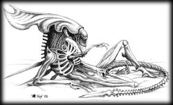 2002 20th_century_fox alien_(franchise) female no_humans slof tagme white_background xenomorph xenomorph_queen