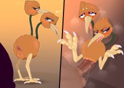 2024 2_heads anus avian backsash balls beak bird blush bodily_fluids brown_body brown_penis brown_skin claws digital_media_(artwork) doduo duo embarrassed erection female female_penetrated feral fur generation_1_pokemon genital_fluids genitals group hair heart_eyes heart_symbol hi_res human human_on_feral humanoid_genitalia humanoid_penis interspecies looking_back looking_pleasured lying male male/female male_penetrating male_penetrating_female mammal multi_head nintendo nude on_back open_mouth penetration penile penis pokemon pokemon_(species) pussy sex simple_background smile solo_focus standing sweat toe_claws tongue tongue_out vaginal_penetration vaginal_penetration vein zoophilia