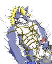 abs alex168wang anal anal_fingering assisted_masturbation balls bed blush bound canine collar cum ear_piercing erection fenrir_(tokyo_afterschool_summoners) fingering lying male male_only mammal masturbation mohawk muscular muscular_male nipples on_back pecs penis piercing rope rope_bondage rope_harness sex tattoo tokyo_afterschool_summoners wolf