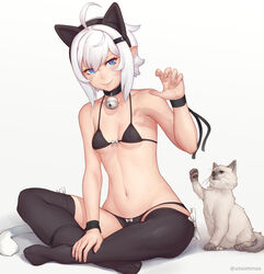 animal_ears blue_eyes bra breasts cat_ears catgirl cleavage feline female looking_at_viewer panties small_breasts solo_focus thighhighs unsomnus white_fur white_hair