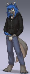 balls bedroom_eyes blue_eyes blue_hair blue_penis canine clothed clothing fox hair half-closed_eyes hoodie jailbird male male_only mammal penis presenting seductive taithefox