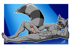 5_toes abs anthro balls erection fur grey_fur juacamo male male_only mammal muscular nipples penis procyonid raccoon simple_background sly_cooper sly_cooper_(series) smile smooth_fur solo toes vein veiny_penis video_games