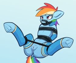 anus arm_warmers armwear bound clitoris clothing dock equine female feral friendship_is_magic horse leg_warmers legwear lying mammal my_little_pony navel on_back pony pony-butt-express pussy rainbow_dash_(mlp) solo spread_legs spreader_bar spreading stockings