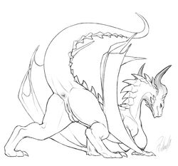 2018 anus ass breasts dragon female feral looking_at_viewer looking_back nipples nude presenting presenting_hindquarters presenting_pussy pussy rollwulf scalie sketch solo wings wyvern