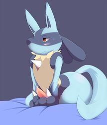 1boy 3_fingers all_fours anthro ass bed belly big_ass big_ears black_fur blue_fur blush canine canine_penis celescario erection fang fangs fur furry half-closed_eyes kneeling looking_away lucario male male_only nintendo no_nipples nude on_bed orange_eyes paws penis pokemon pokemon_(species) pokemon_dppt precum purple_background red_eyes simple_background solo spikes sweat tail teeth thick_thighs video_games wide_hips yellow_fur