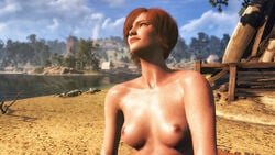 3d areolae beach breasts cd_projekt_red female female_only looking_up nipples red_hair shani solo the_witcher the_witcher_(series) the_witcher_3:_wild_hunt xpsfm yellow_eyes