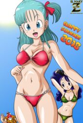 bulma briefs from dragon ball