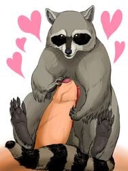 anatomically_correct anatomically_correct_penis balls feral frottage heart hindpaw human human_on_feral interspecies male mammal paws penis procyonid questly raccoon sex size_difference uncut vein yaoi zoophilia