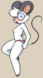 2017 anthro bare_chest big_ears blush chloe clothing eyewear female fur glasses hair honky_kat mammal mouse nipples open_mouth panties rodent sweat underwear white_fur