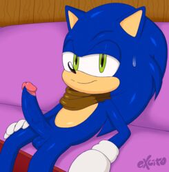 anthro balls bedroom_eyes blue_fur clothing couch erect excito furniture gloves green_eyes hand_on_leg hedgehog humanoid_penis looking_at_viewer male male_focus male_only mammal mostly_nude penis scarf scarf_only shiny_fur sitting solo sonic_(series) sonic_boom sonic_the_hedgehog sweatdrop veiny_penis wooden_wall