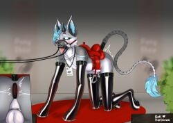 absurd_res anal bondage bondage bound bridle canid canine canis chastity_cage chastity_device demon discipline hi_res hooves jay latex leash male mammal petplay plug ponyplay roleplay saddle sati_kurosawa sex_toy slave snaffle solo submissive vibrator wolf