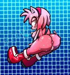 amy rose from sonic (series) by zenkitsune (artist)