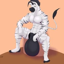 angrypotato96 animal_genitalia anthro balls big_balls equine hair huge_balls hyper hyper_balls hyper_sheath male male_only mammal muscular muscular_male nipple_piercing nipples nude pecs piercing sampson_(angrypotato96) sheath sitting solo spread_legs spreading zebra