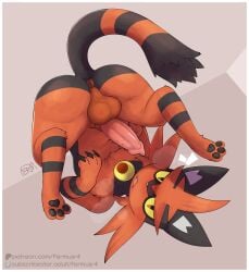 animal_genitalia animal_penis ass ass_up balls big_butt blep claws cute_fangs fangs felid feline feline_genitalia feline_penis feral fermusieboir4 fur generation_7_pokemon genitals hi_res looking_at_viewer lying male mammal nintendo on_back orange_body orange_fur penis pokemon pokemon_(species) solo tail teeth tongue tongue_out torracat yellow_eyes