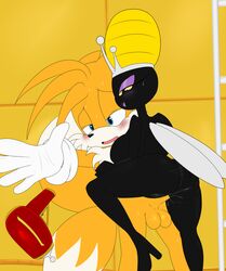 arthropod bee bigdon1992 canine domination female fox insect_wings insects male mammal miles_prower nude nyuroraxbigdon penetration penis pussy queen_bea secret_squirrel secret_squirrel_show sega sex sonic_(series) straight tails wings