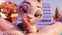 1boy 1boy1girl 1girls 3d 3d_animation 3d_model anthro blenderknight blowjob blushydewdva dopyteskat duo fellatio female fur furry furry_female genitals judy_hopps kassioppiava licking licking_penis light-skinned_male longer_than_10_seconds male male/female male_on_anthro multicolored_body multicolored_fur naked naked_female naked_male penile penis penis_grab penis_in_mouth pool poolside purple_eyes sound tagme video wigfritter zootopia