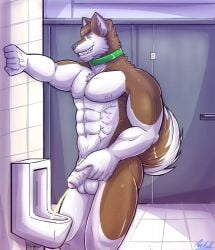 1boy 1male 1man abs anthro anthropomorphic archell balls ballsack bathroom bathroom_background bathroom_floor bathroom_stall bathroom_tiles bathroom_wall big brown canine cock collar collar_only dick dog_collar dog_ears dog_tail flaccid flaccid_cock flaccid_dick flaccid_penis foreskin furry furry_ass furry_ears furry_male furry_only furry_tail glans hand_on_penis hand_on_wall hunk husky male male_only muscle muscles muscular muscular_anthro muscular_arms muscular_back muscular_legs muscular_male naked navel nipples nude nudity only_furry only_male peeing peeing_in_urinal penis penis_grab pink_glans pink_nipples public public_nudity public_restroom restroom restroom_stall solo solo_anthro solo_focus solo_male tail toilet toilet_bowl toilet_pee toilet_stall toilet_use uncircumcised uncut urinal urinal_use urinating urinating_male urination urine yoshi_husky