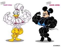 2girls abs atariboy biceps bird breasts daisy_duck disney duck female minnie_mouse mouse muscles muscular muscular_arms muscular_female muscular_legs muscular_thighs pecs rodent