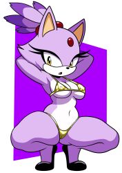 blaze the cat from sonic (series) by furry funnychan