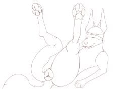 animal_ears animal_genitalia animal_vulva ass bandage blind canid canine canine_genitalia canine_vulva canis cultist disability female feral genitals hi_res jackal mammal paws presenting ria_(sasers) sasers solo spread_legs spreading