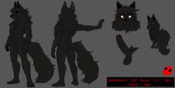 2024 abs absurd_res adam_manchester anthro ass balls big_penis black_body black_fur black_hair black_penis butcher_pal canid canine canis colored digital_drawing_(artwork) digital_media_(artwork) disembodied_penis english_text erection eye_through_hair eyebrow_through_hair eyebrows featureless_crotch foreskin front_view full-length_portrait fur genitals grey_background hair headshot_portrait hi_res humanoid_genitalia humanoid_penis hybrid male male_anthro mammal model_sheet muscular muscular_male nipples nude nude_anthro nude_male penis pink_nipples portrait procyonid pubes raccoon rear_view red_eyes simple_background solo tail text translucent translucent_hair wolf